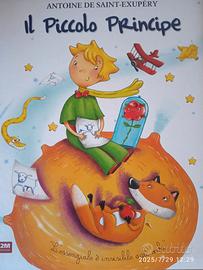 il piccolo principe 