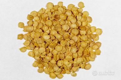 Busta n. 10 Semi Peperoncini  - prod. 2025 e 2024