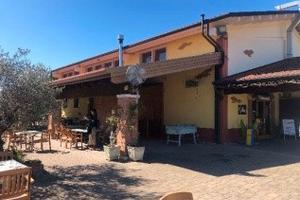 RGE 52/2024 Tribunale Verona - Lotto 1)