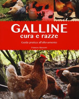 galline e cure