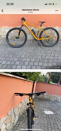 Bicicletta