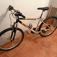 Due biciclette al prezzo di una