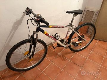 Due biciclette al prezzo di una