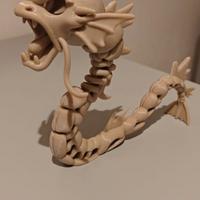 Gyarados scheletro pokèmon