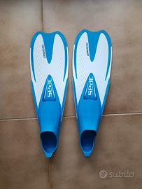PINNE 40 - 41  SEAC