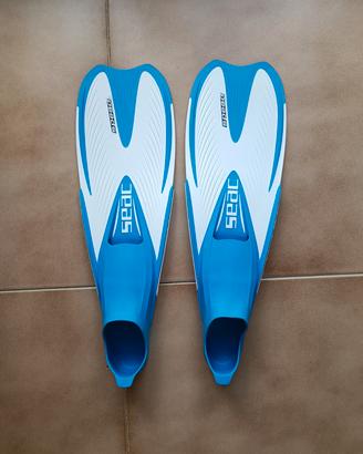 PINNE 40 - 41  SEAC