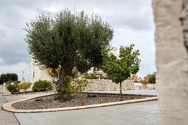 Villetta a due passi dal mare di Torre Canne