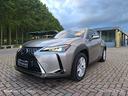 lexus-ux-hybrid-business-full-optional
