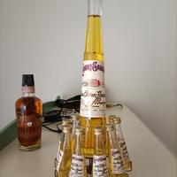 liquore Galliano bottiglia grande più 10 piccole