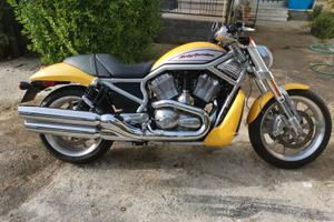 harley street rod 1130