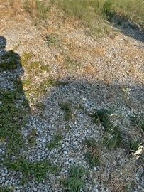 Sassi da giardino