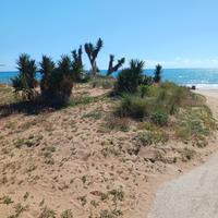 Triscina di Selinunte vicino al mare