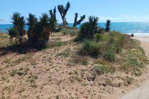 Triscina di Selinunte vicino al mare