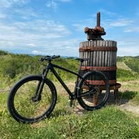 Specialized epic