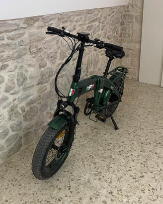 Bici elettrica