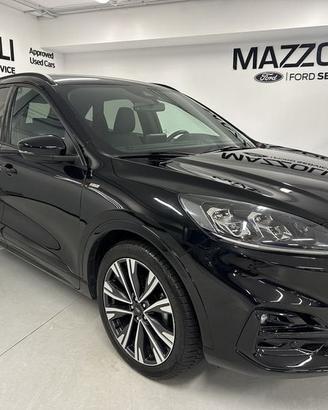 Ford Kuga 1.5 EcoBlue 120 CV aut. 2WD ST-Line X