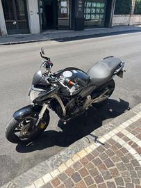 Honda Hornet