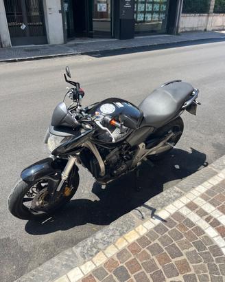Honda Hornet