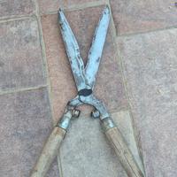 forbici per la siepe 