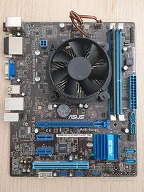 ASUS P8H61-M LX2 + CPU Intel G645 • 4GB RAM