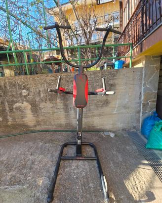 Domyos DS 980 stazione dips/trazioni/corpo libero