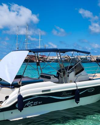 AS MARINE 25 WALK AROUND con ELICA DI PRUA