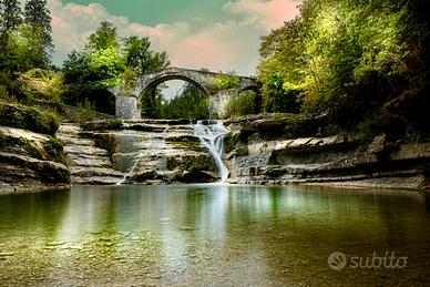 Vacanze nelle foreste Casentinesi