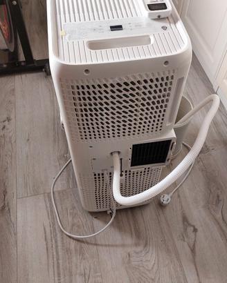 Pinguino compact delonghi