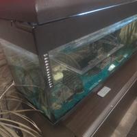 acquario Pet Company