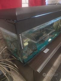 acquario Pet Company