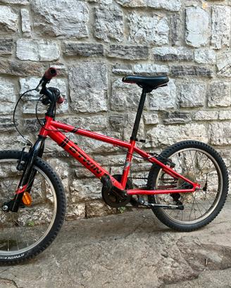 Bicicletta da bambino 20”