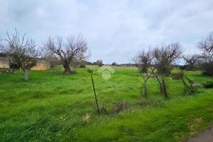 RUSTICO A NARDÒ