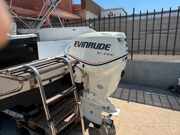 Fuoribordo Evinrude 115 E-Tec 2008