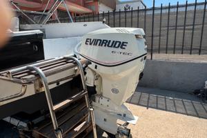 Fuoribordo Evinrude 115 E-Tec 2008