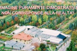 AZIENDA AGRICOLA