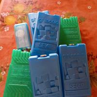 mattonelle ghiaccio per borsa frigo 