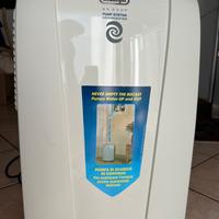 Deumidificatore DeLonghi DH300P