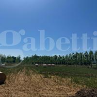 Terreno Agricolo Baia e Latina