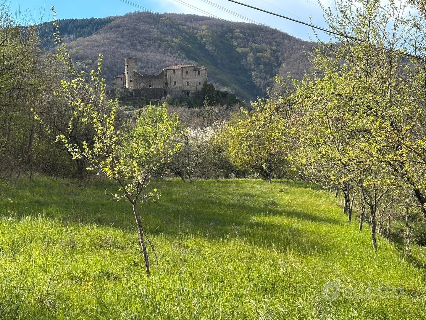 Terreno agricolo - Vista 3