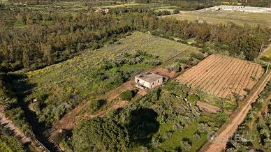 Terreno con rudere vista mare