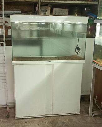 Acquario Askol in vetro 100x40x70H da 300 litri