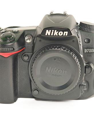 NIKON D7000 33.315 SCATTI