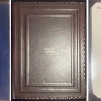 Disegni anatomici di Leonardo da Vinci Anatomia II