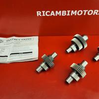 ALBERI A CAMME HARLEY DAVIDSON SPORTSTER XL