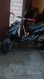 ripropongo  beta ark