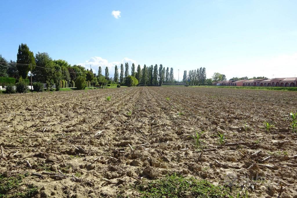 Casa – Mirano, Vetrego - Vista 5