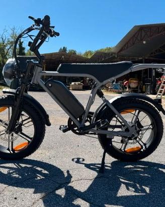 bicicletta elettrica