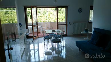 Monolocale ristrutturato