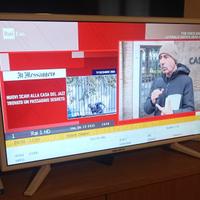 Tv 24 pollici led Majestic