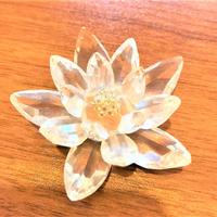 Swarovski, ninfea WATERLILY SMALL